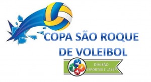 voleibol